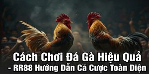 cách chơi đá gà